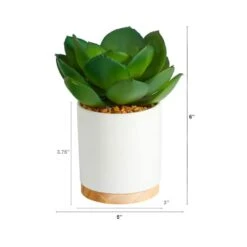 6'' Succulent Artificial Plant In White Ceramic Planter -Michaels Shop D590119S 2