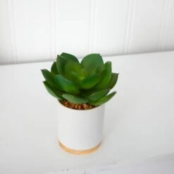 6'' Succulent Artificial Plant In White Ceramic Planter -Michaels Shop D590119S 3