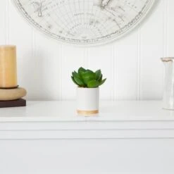 6'' Succulent Artificial Plant In White Ceramic Planter -Michaels Shop D590119S 4