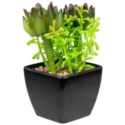 Northlight 6" Potted Green Succulent Arrangement -Michaels Shop D602891S 1 1