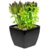 Northlight 6" Potted Green Succulent Arrangement -Michaels Shop D602891S 1