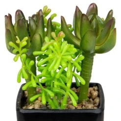 Northlight 6" Potted Green Succulent Arrangement -Michaels Shop D602891S 3