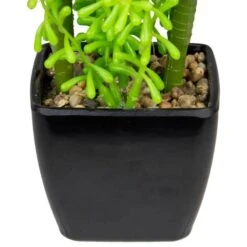 Northlight 6" Potted Green Succulent Arrangement -Michaels Shop D602891S 4