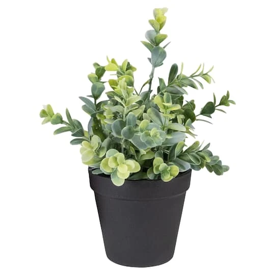 Northlight 10" Green Chinaberry Plant In Black Pot 4 Northlight 10" Green Chinaberry Plant In Black Pot - Image 2