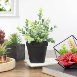 Northlight 10" Green Chinaberry Plant In Black Pot 10 Northlight 10" Green Chinaberry Plant In Black Pot -Michaels Shop D602892S 2