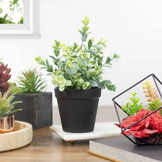 Northlight 10" Green Chinaberry Plant In Black Pot 5 Northlight 10" Green Chinaberry Plant In Black Pot - Image 3