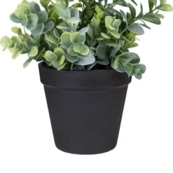 Northlight 10" Green Chinaberry Plant In Black Pot 11 Northlight 10" Green Chinaberry Plant In Black Pot -Michaels Shop D602892S 3