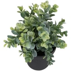 Northlight 10" Green Chinaberry Plant In Black Pot 13 Northlight 10" Green Chinaberry Plant In Black Pot -Michaels Shop D602892S 5