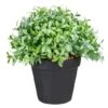 Northlight 7.5" Potted Green Boxwood Plant -Michaels Shop D602893S 1