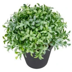Northlight 7.5" Potted Green Boxwood Plant -Michaels Shop D602893S 3