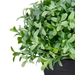 Northlight 7.5" Potted Green Boxwood Plant -Michaels Shop D602893S 4