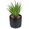Northlight 7" Green Sword Grass In Black Pot 1 Northlight 7" Green Sword Grass In Black Pot -Michaels Shop D602894S 1