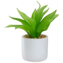 Northlight 8" Green Aloe Plant In White Pot