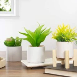 Northlight 8" Green Aloe Plant In White Pot 9 Northlight 8" Green Aloe Plant In White Pot -Michaels Shop D602896S 2