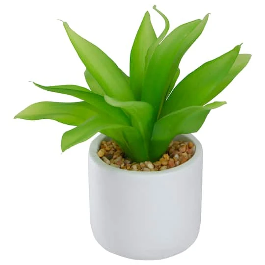 Northlight 8" Green Aloe Plant In White Pot 6 Northlight 8" Green Aloe Plant In White Pot - Image 4