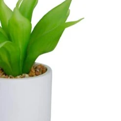 Northlight 8" Green Aloe Plant In White Pot 11 Northlight 8" Green Aloe Plant In White Pot -Michaels Shop D602896S 4