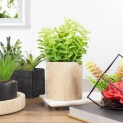 Northlight 10" Green Privet Plant In Faux Wood Pot -Michaels Shop D602897S 2