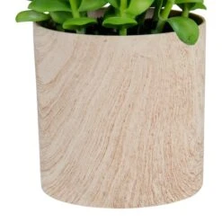 Northlight 10" Green Privet Plant In Faux Wood Pot -Michaels Shop D602897S 3