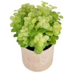 Northlight 10" Green Privet Plant In Faux Wood Pot -Michaels Shop D602897S 5
