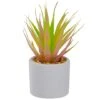 Northlight 6.5" Green & Pink Sword Grass In White Pot -Michaels Shop D602900S 1