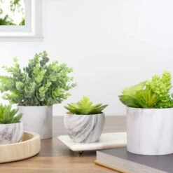 Northlight 4" Green & Purple Succulent In Faux Marble Pot 10 Northlight 4" Green & Purple Succulent In Faux Marble Pot -Michaels Shop D602901S 2