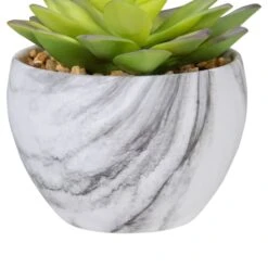 Northlight 4" Green & Purple Succulent In Faux Marble Pot 11 Northlight 4" Green & Purple Succulent In Faux Marble Pot -Michaels Shop D602901S 3