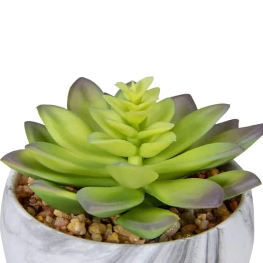 Northlight 4" Green & Purple Succulent In Faux Marble Pot 7 Northlight 4" Green & Purple Succulent In Faux Marble Pot - Image 5