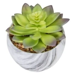Northlight 4" Green & Purple Succulent In Faux Marble Pot 13 Northlight 4" Green & Purple Succulent In Faux Marble Pot -Michaels Shop D602901S 5