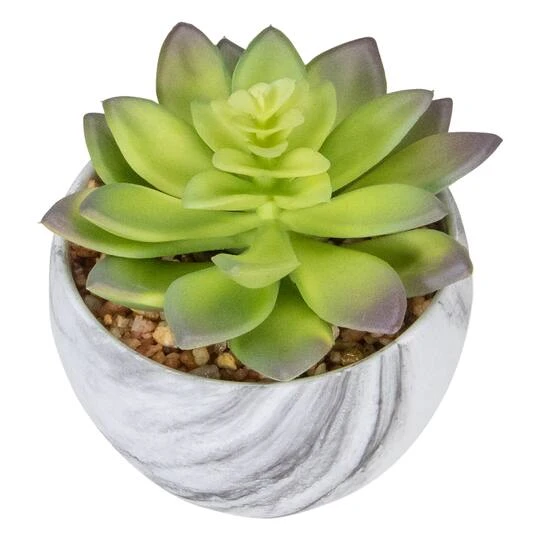 Northlight 4" Green & Purple Succulent In Faux Marble Pot 8 Northlight 4" Green & Purple Succulent In Faux Marble Pot - Image 6