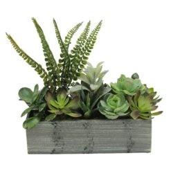 Northlight 11.75" Mixed Succulent Plants In Rectangular Planter -Michaels Shop D602905S 1 1
