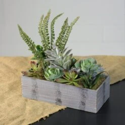Northlight 11.75" Mixed Succulent Plants In Rectangular Planter -Michaels Shop D602905S 2