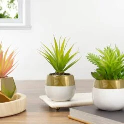 Northlight 7" Potted Green Sword Grass Plant 9 Northlight 7" Potted Green Sword Grass Plant -Michaels Shop D602906S 2