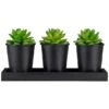 Northlight 10" Potted Succulents With Wood Planter Set 1 Northlight 10" Potted Succulents With Wood Planter Set -Michaels Shop D602907S 1