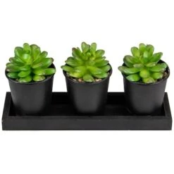 Northlight 10" Potted Succulents With Wood Planter Set -Michaels Shop D602907S 2