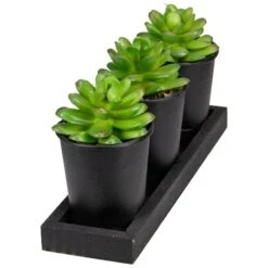 Northlight 10" Potted Succulents With Wood Planter Set -Michaels Shop D602907S 3