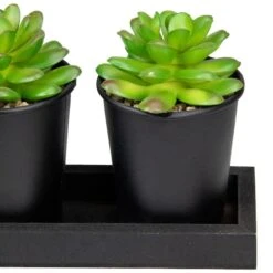 Northlight 10" Potted Succulents With Wood Planter Set -Michaels Shop D602907S 4