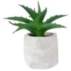 Northlight 6" Green Aloe Succulent In Cement Pot -Michaels Shop D602909S 1