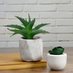 Northlight 6" Green Aloe Succulent In Cement Pot -Michaels Shop D602909S 2