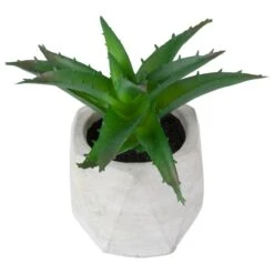 Northlight 6" Green Aloe Succulent In Cement Pot -Michaels Shop D602909S 3