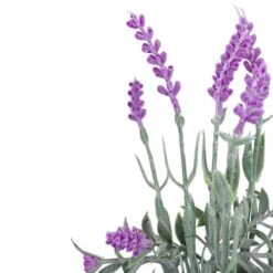 Northlight 13'' Artificial Lavender Arrangement In Milk Bottle -Michaels Shop D602986S 5