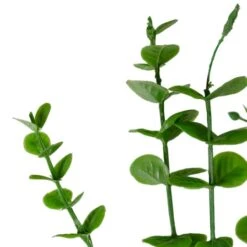 Northlight Green Artificial Eucalyptus Spray -Michaels Shop D602990S 3