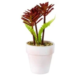 Northlight 8" Red And Green Succulent Fern In Ceramic White Pot -Michaels Shop D602991S 2