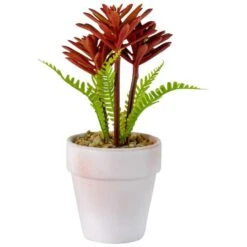 Northlight 8" Red And Green Succulent Fern In Ceramic White Pot -Michaels Shop D602991S 3