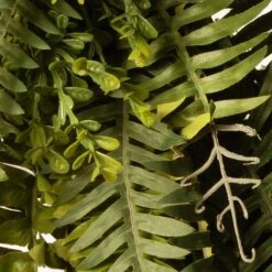 35" Green Fern Wreath -Michaels Shop D625765S 4