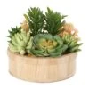 7" Succulent Artificial Plant With Natural Pot 1 7" Succulent Artificial Plant With Natural Pot -Michaels Shop D760296S 1