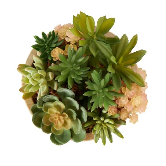 7" Succulent Artificial Plant With Natural Pot 10 7" Succulent Artificial Plant With Natural Pot - Image 8