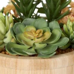 7" Succulent Artificial Plant With Natural Pot 17 7" Succulent Artificial Plant With Natural Pot -Michaels Shop D760296S 6