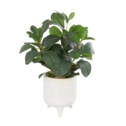 14" Faux Foliage Artificial Plant In White Pot