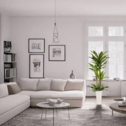 6ft. Artificial Dracaena Fragrans Tree In White Decorative Pot -Michaels Shop D763734S 3