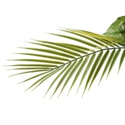 6ft. Artificial Dracaena Fragrans Tree In White Decorative Pot -Michaels Shop D763734S 7